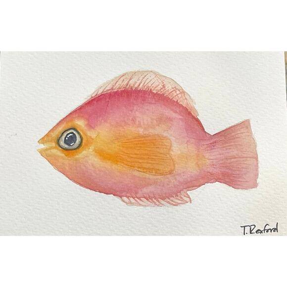 Hand painted watercolor original painting fish 4x6” - Picture 1 of 1